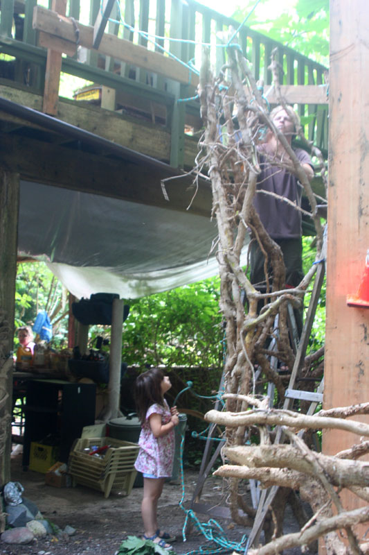 weaving roots